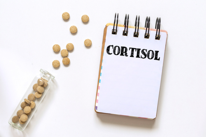 The Effects of High Cortisol on Women